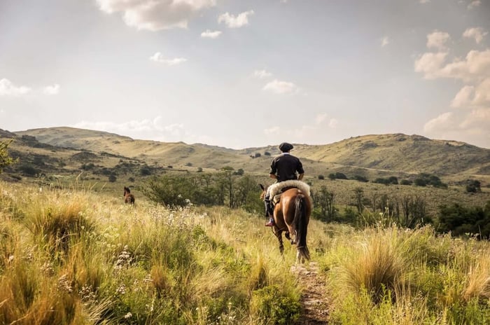 Horseback rider in The Pampas