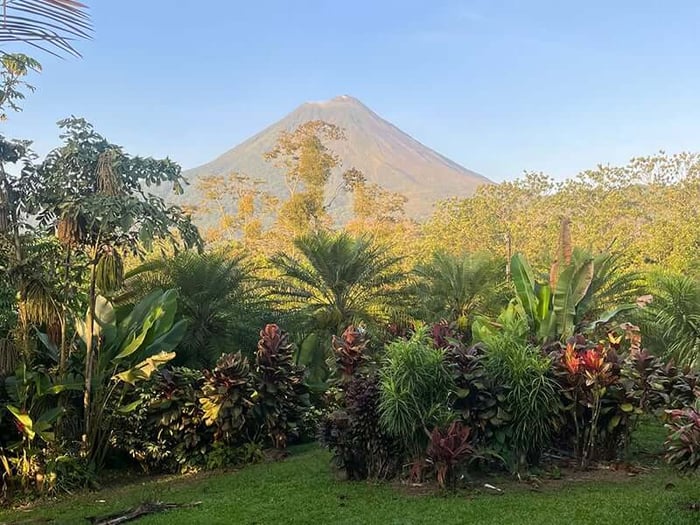 The morning view from Gaynor’s room