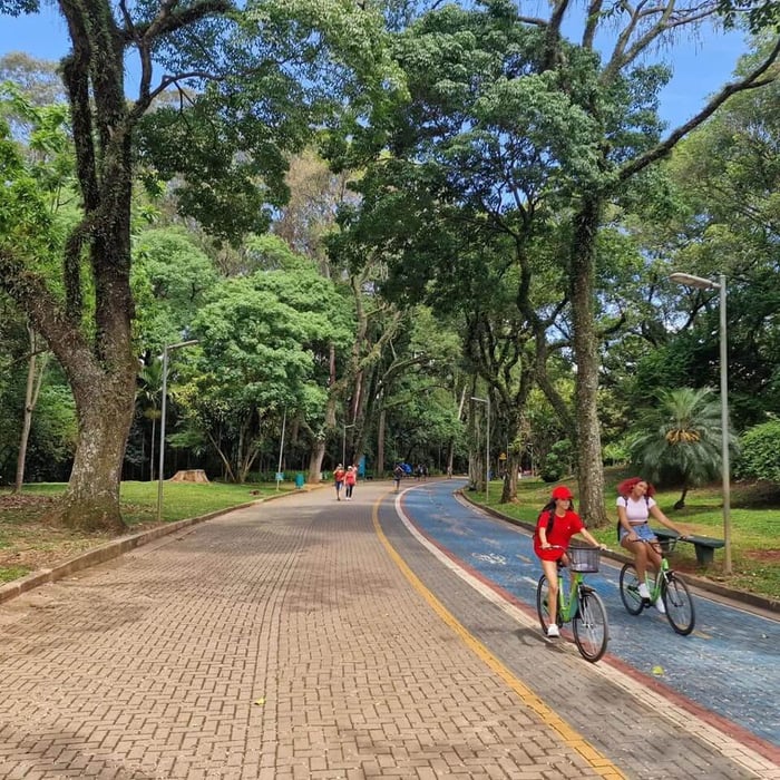 A good way to get around the city using dedicated bike lanes