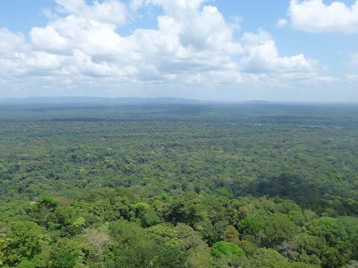 Iwokrama Rainforest – the green heart of Guyana