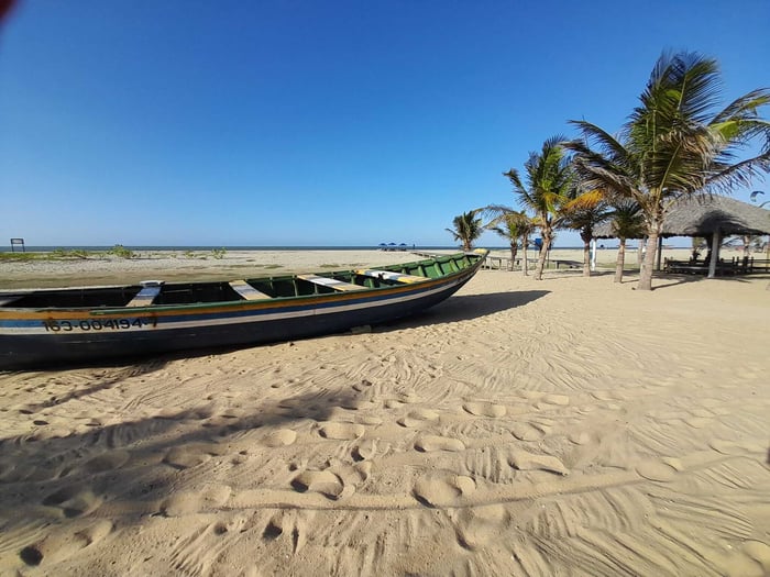 Palm trees and boat on the Route of Emotions coast