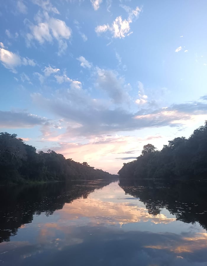 Amazon River views