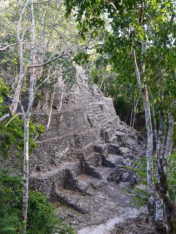Massive Maya temple at El Mirador, Peten