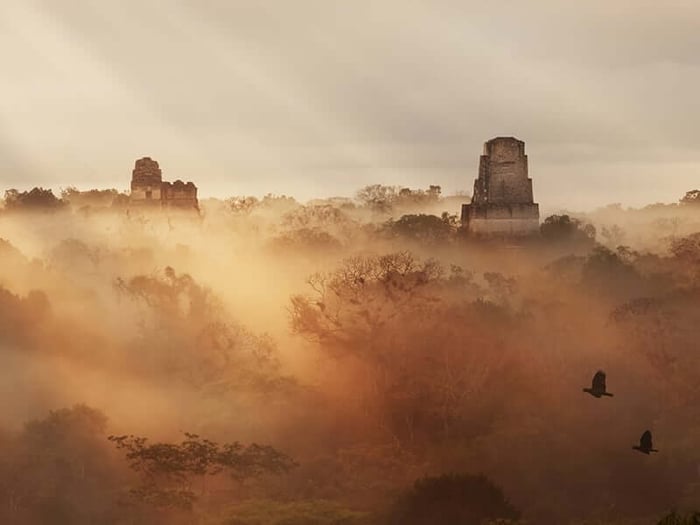 The misty sunrise glow of Tikal, Guatemala