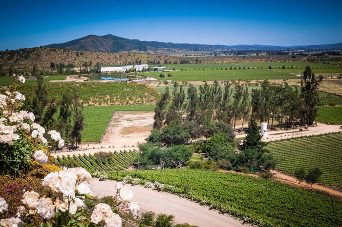 Casablanca Valley