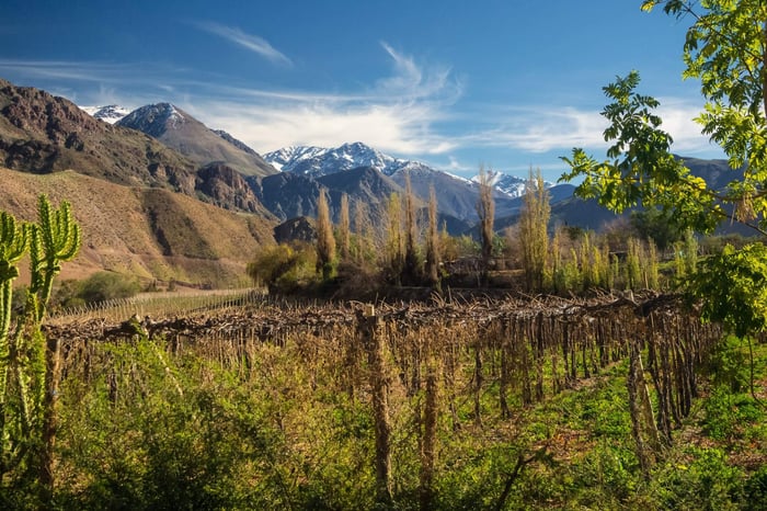 The Wine region of chile