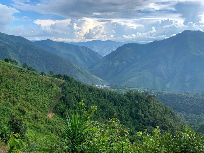 The Cloud Forests Of Alta Verapaz
