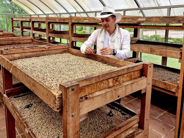 Finca del Cafe - A Day In The Life Of A Chapolera Colombiana