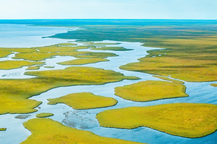 Ibera Wetlands