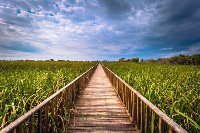 A wooden walkway in the Ibera Wetlands