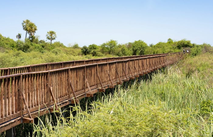 Wooden walkway in the grasslands at Ibera Wetlands