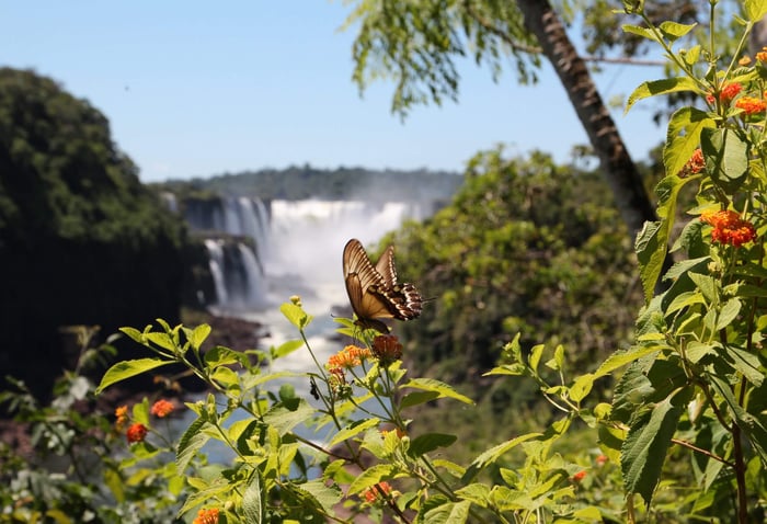 Iguazu Falls