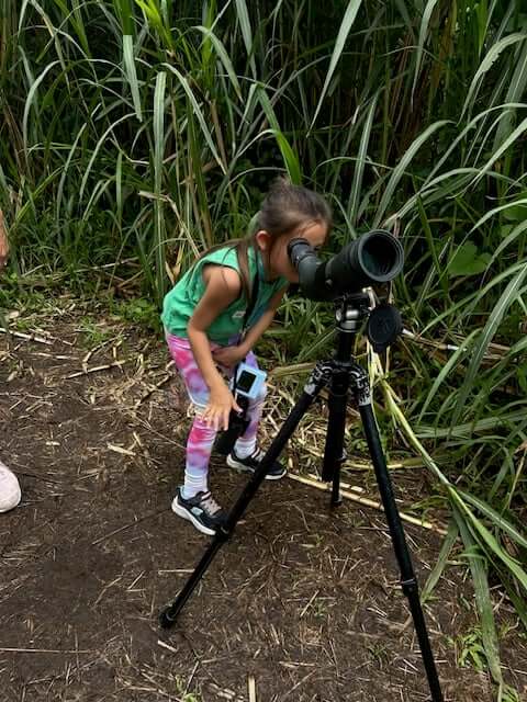 Budding photographer in the wild