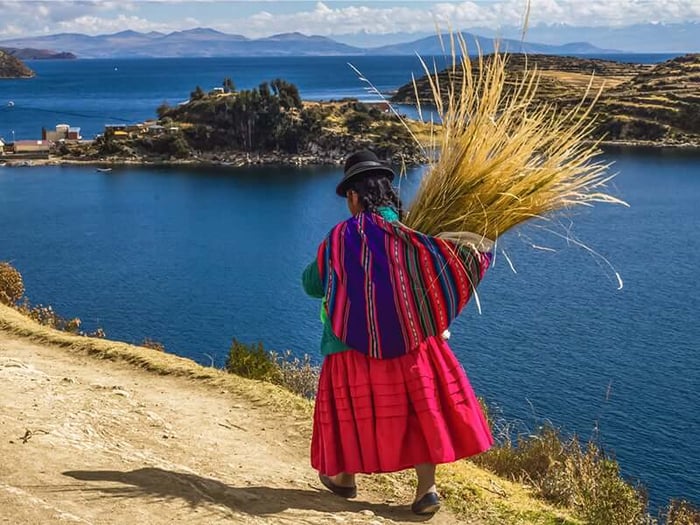 A local Uru collects reeds on the island
