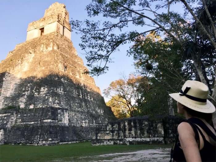 Lewis captures the view looking up at Tikal's main temple
