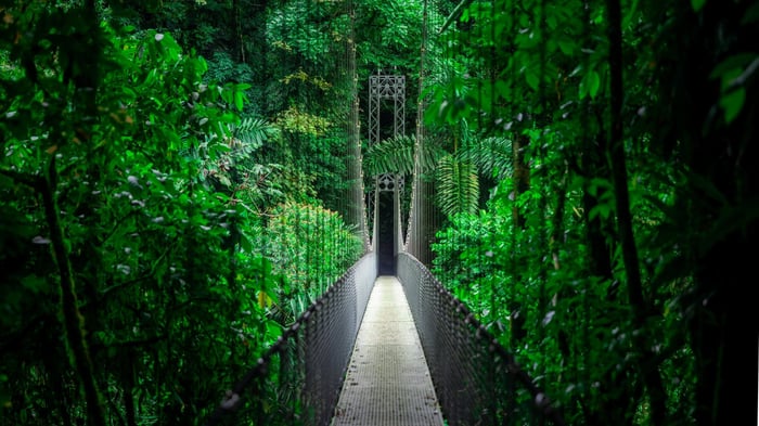 Long suspension bridge through the tropical rainforest of Mistico Park in Costa Rica