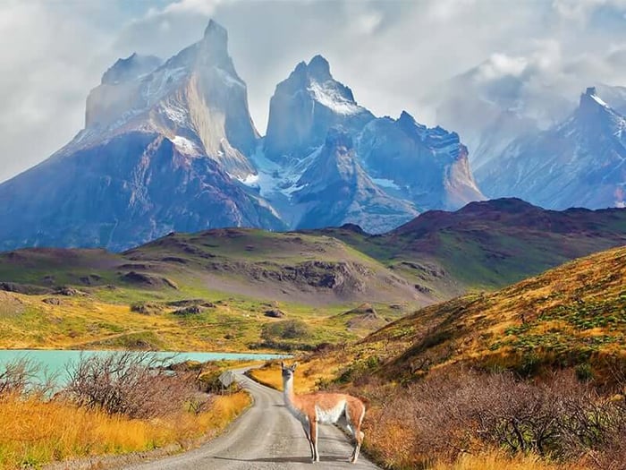 Patagonia National Park
