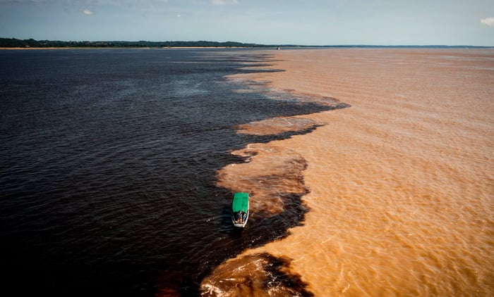 5 Unmissable Experiences of The Amazon River & Rainforest5 Unmissable Experiences of The Amazon River & Rainforest