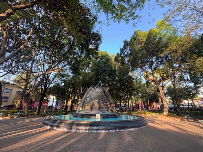 Mexico City - Coyoacan, Fuente de los Coyotes