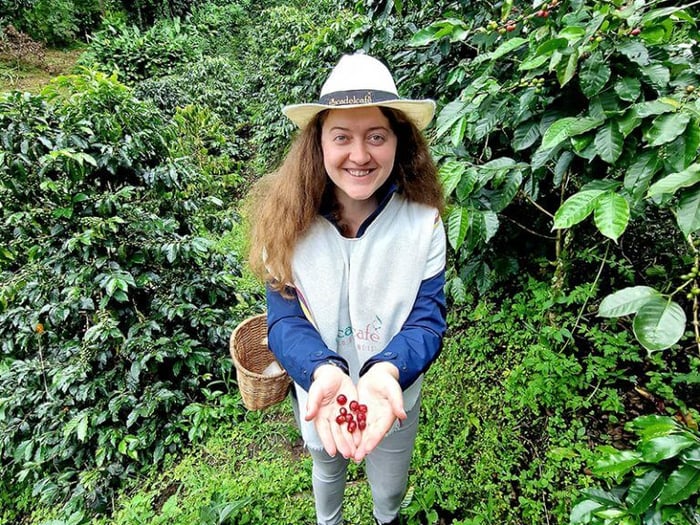 Mihaela has a go at coffee picking