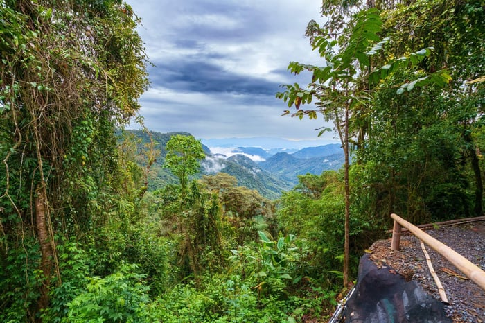 Mindo Cloud Forest