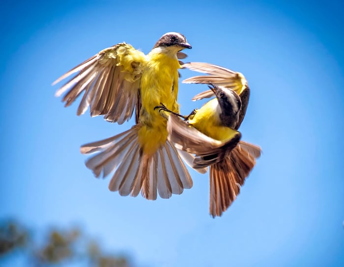 Photograph by Lewis Freeth