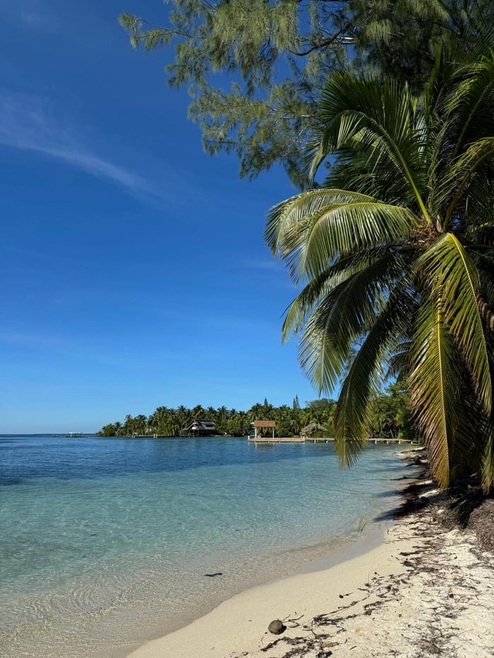 the beach