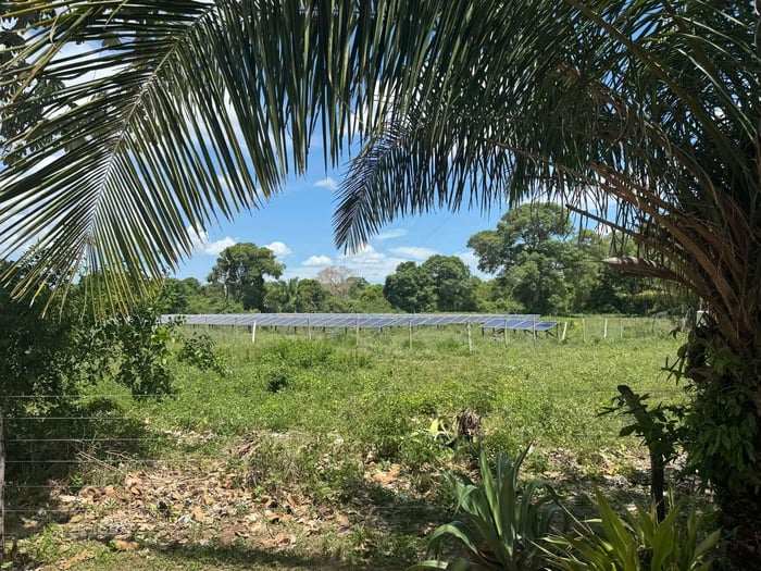 A Day in the Life of a Pantanal Lodge Owner 