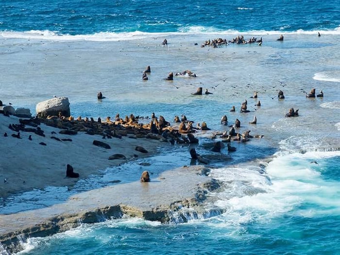 Argentina - Peninsula Valdés