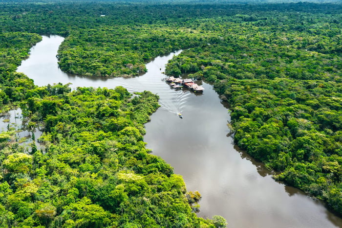 The Peruvian Amazon