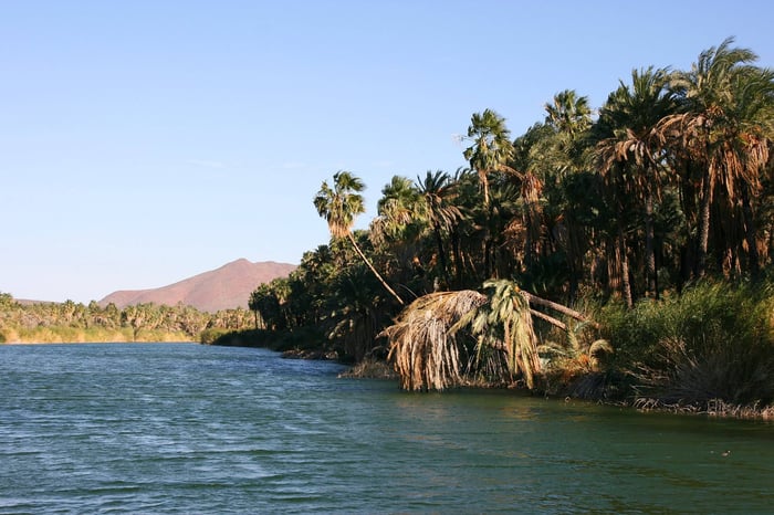 San Ignacio, Baja California Sur, Mexico