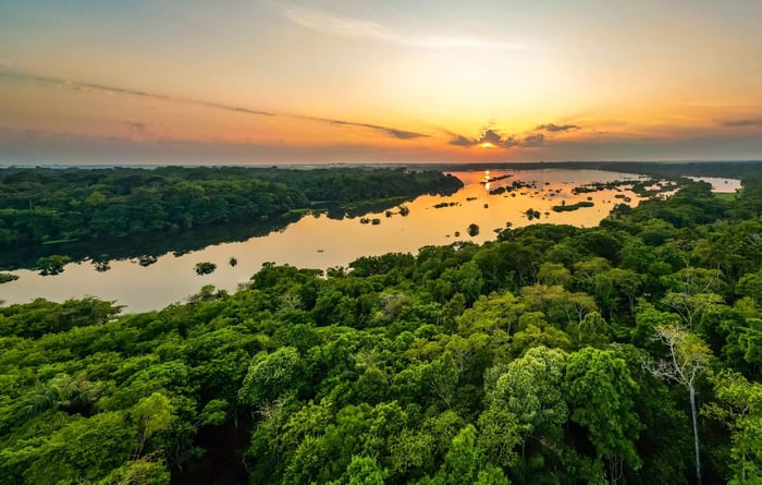 Scenic aerial sunset view of rainforest water jungle in Amazon River in Brazil