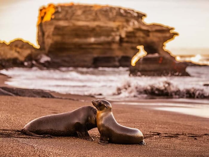 Galapagos National Park