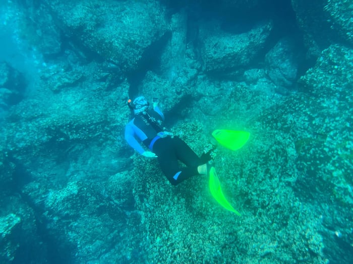 Snorkelling in the Galapagos
