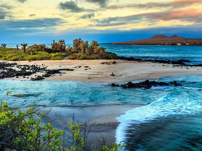 The Galapagos Islands, Ecuador