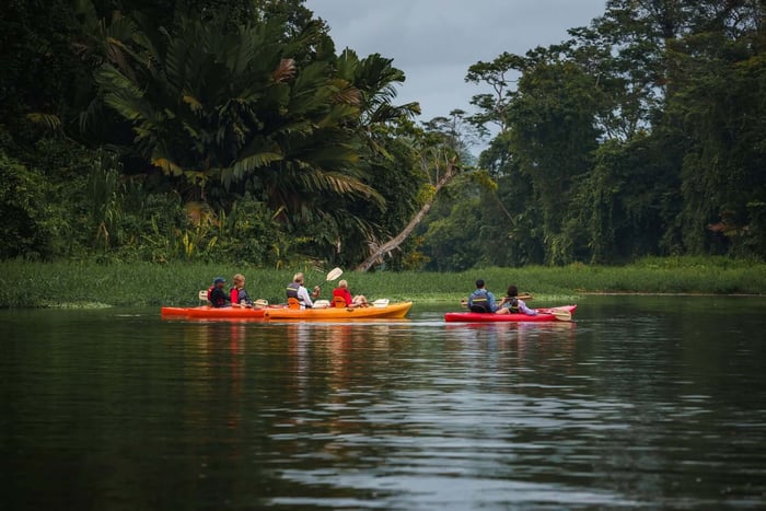 Tortuguero canal and forest in Costa Rica.