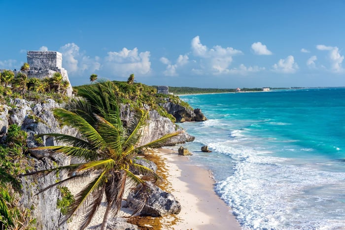 Tulum Ruins and Palm Tree