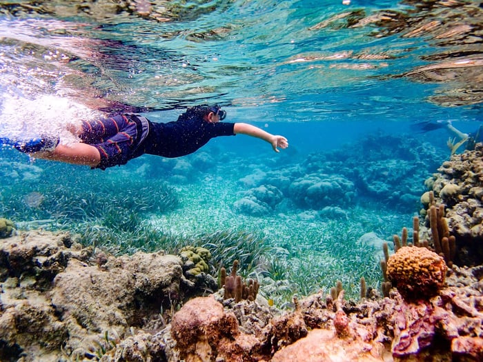 Snorkelling in Ambergris Caye, Belize