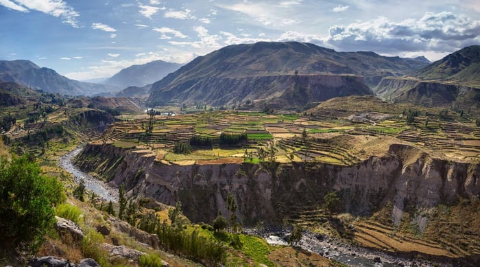 View of terraced fields and Colca river in Colca Canyon in southern Peru, in Arequipa departement
