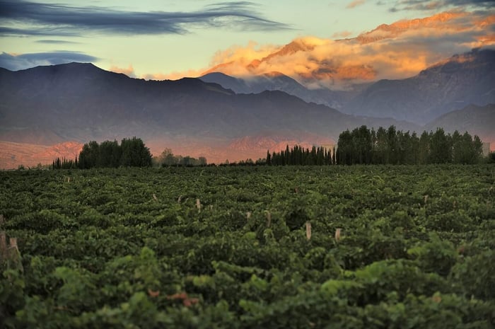 Explore Mendoza, Argentina