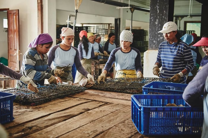 panel nets being prepared