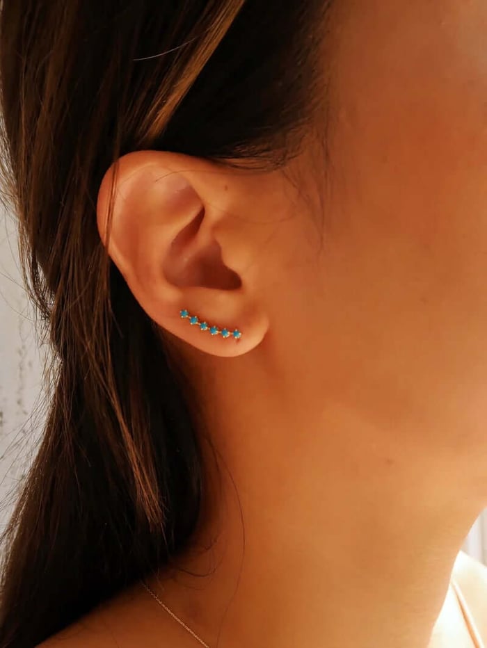 Gold Plated Earrings