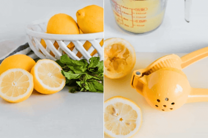 Two photos side by side one shows lemons and mint ready to be made into healthy mint lemonade and the other photo shows lemons getting juiced.