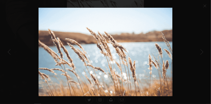 Carrd themes