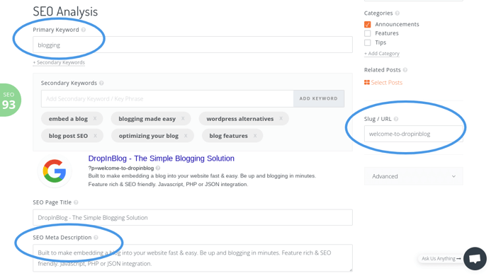 SEO for bloggers: DropInBlog SEO features