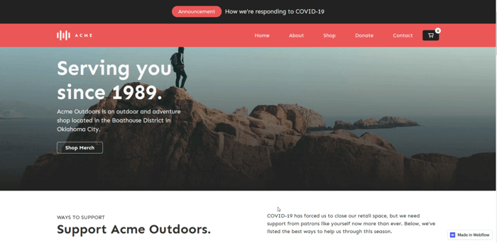 Biznus Webflow template
