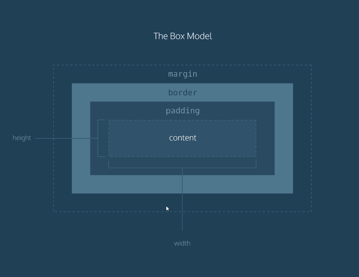 The box model