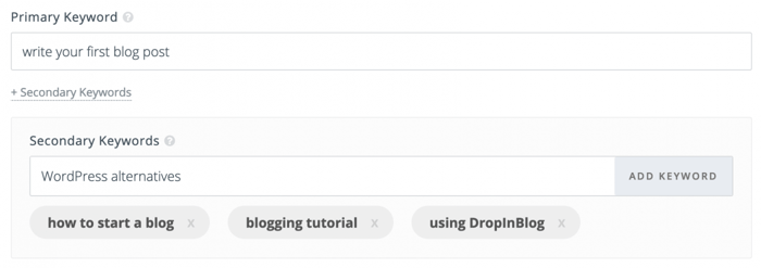 seo analysis tool