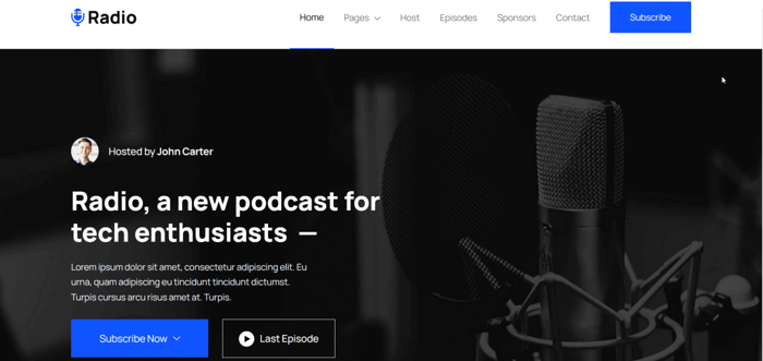 Radio Webflow template