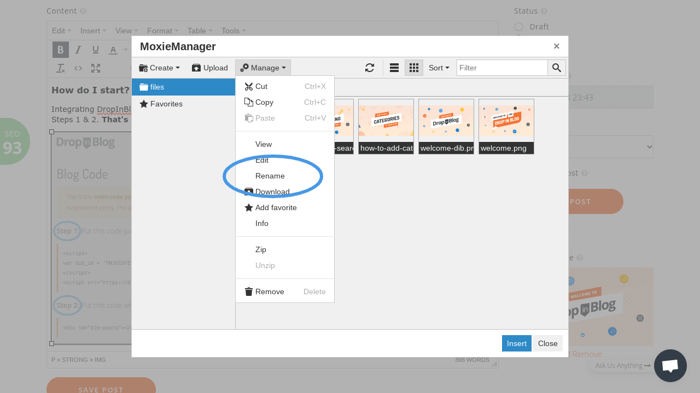 image filenames for seo: rename image files